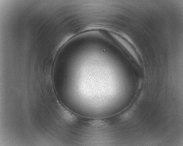 X0000062911137200601131419