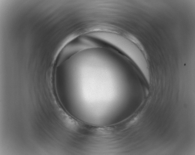 X0000062911138200601131419