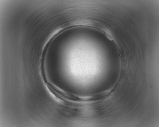 X0000062911139200601131419