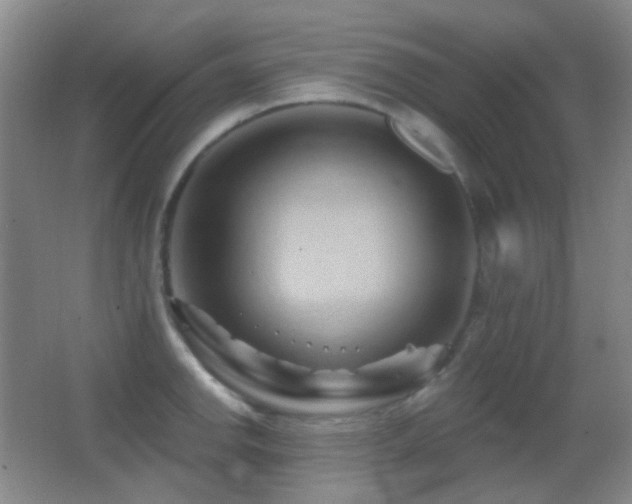 X0000062911142200601131419