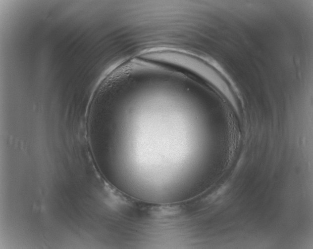 X0000062911145200601131419