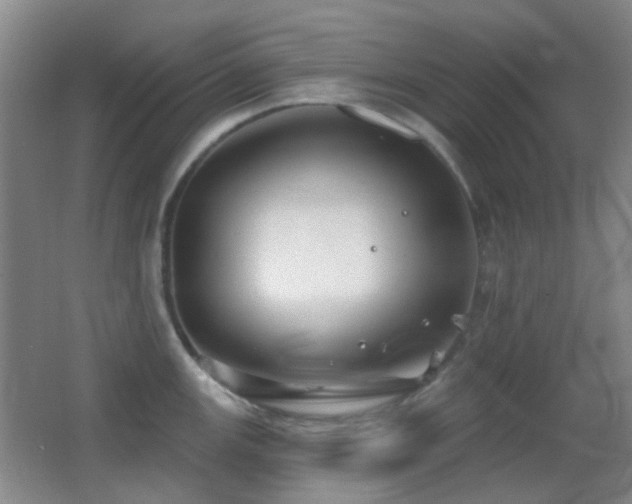 X0000062911147200601131419