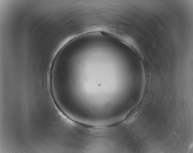 X0000062911151200601131419