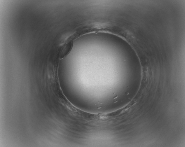 X0000062911158200601131419