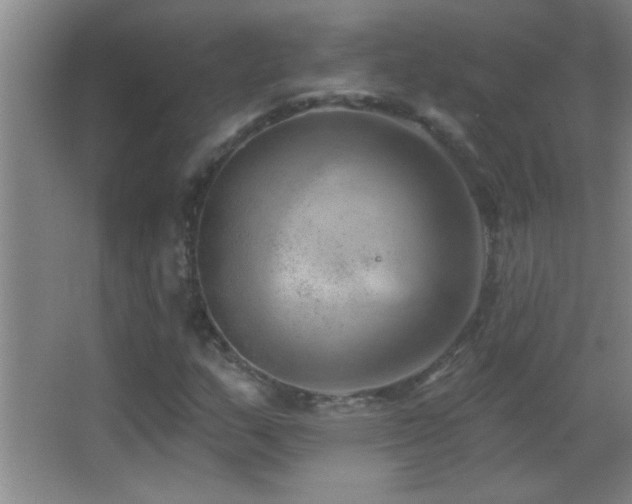 X0000062911159200601131419