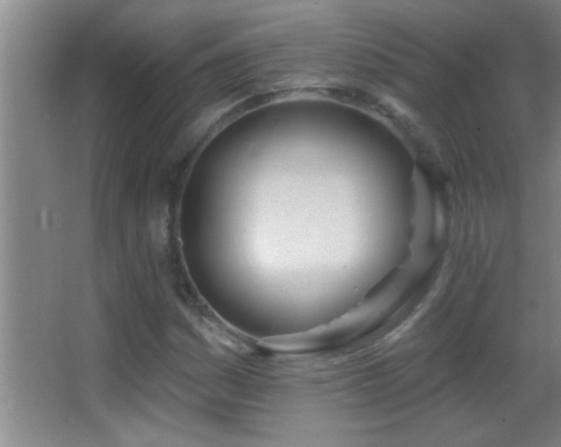 X0000062911161200601131419