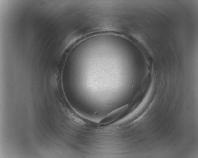 X0000062911163200601131418