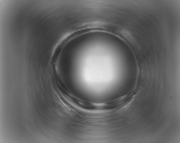 X0000062911164200601131418