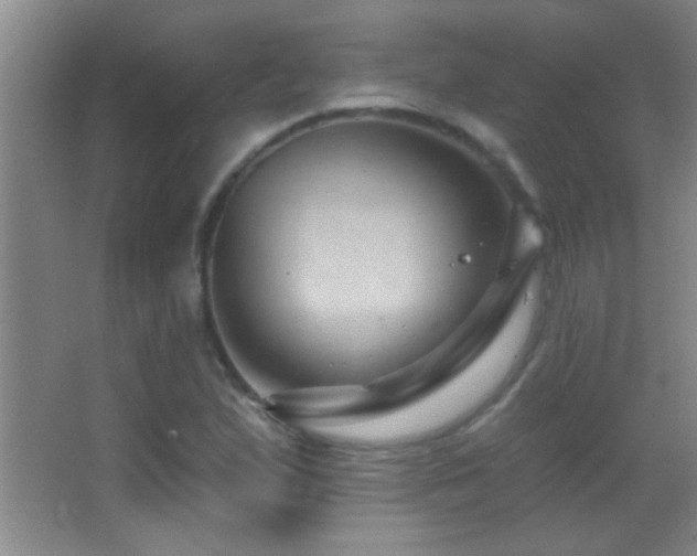 X0000062911167200601131418