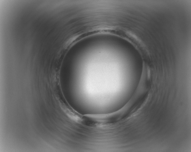 X0000062911169200601131418