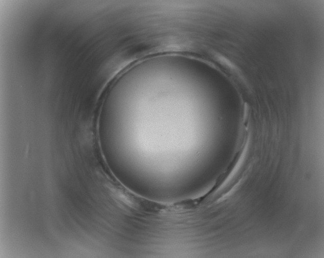 X0000062911170200601131418
