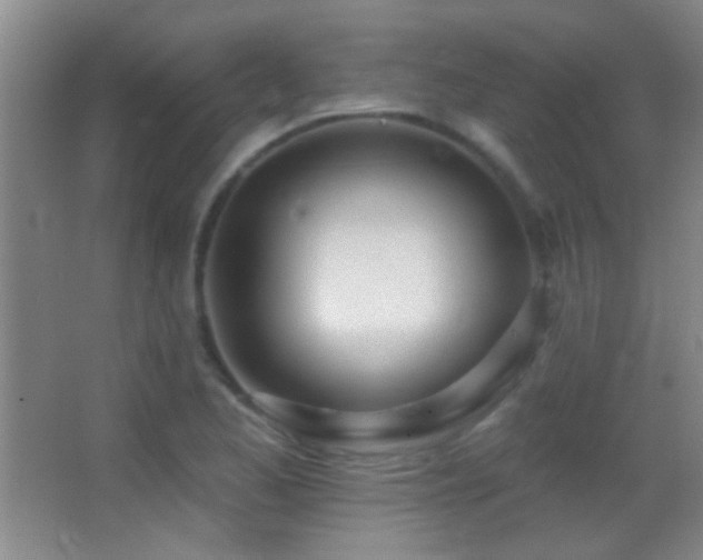 X0000062911173200601131418