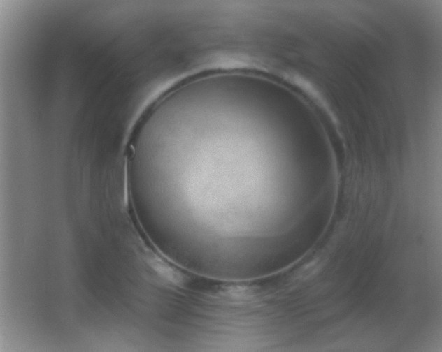 X0000062911175200601131418