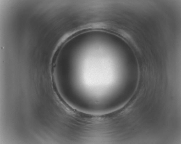X0000062911176200601131418