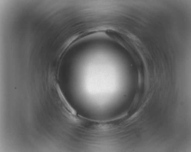 X0000062911177200601131418