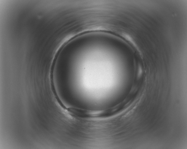 X0000062911181200601131418