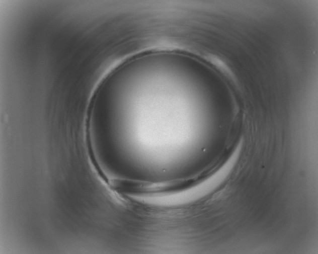 X0000062911183200601131418