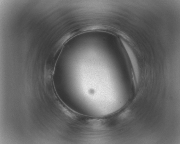 X0000062911185200601131418