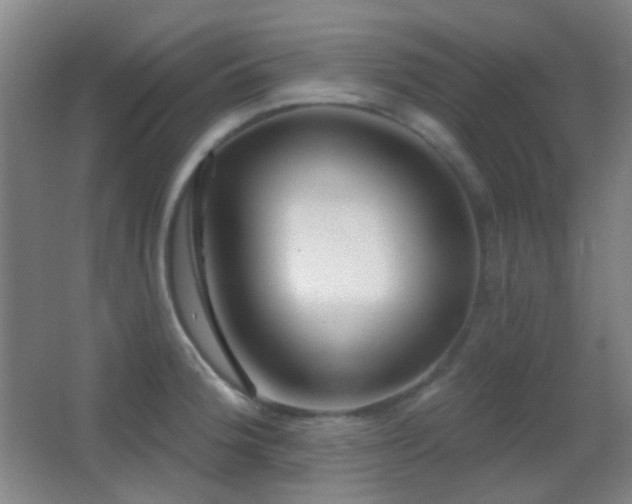 X0000062911188200601131418