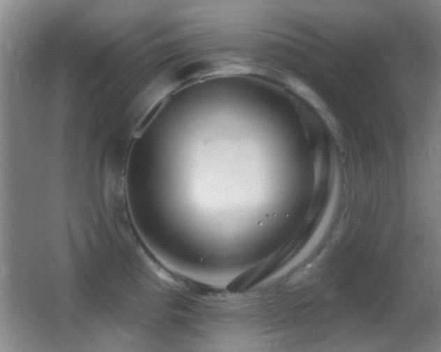 X0000062911193200601131418