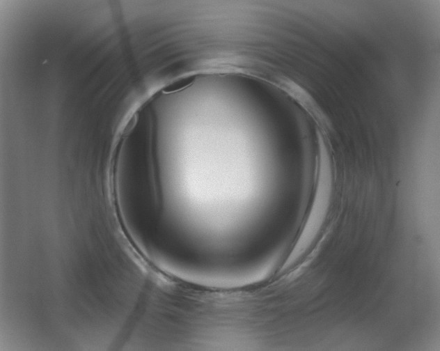 X0000062911196200601131418