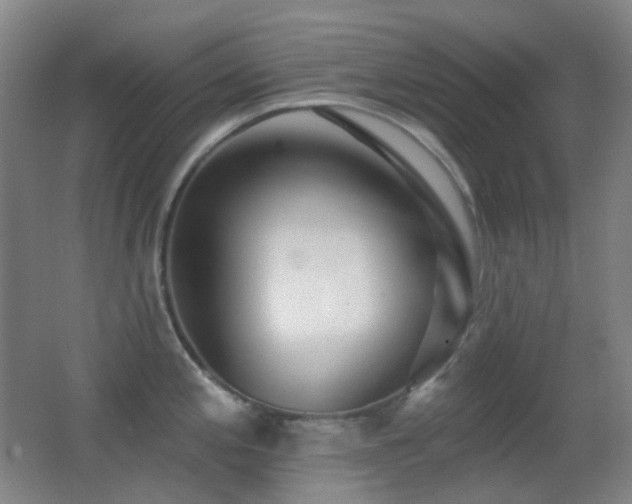 X0000062911197200601131418