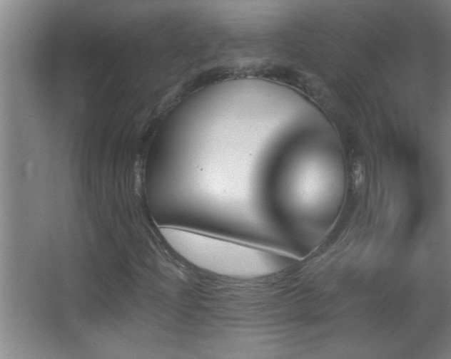 X0000062911204200601131417