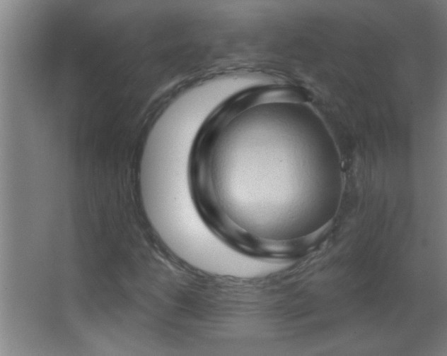 X0000062911206200601131417