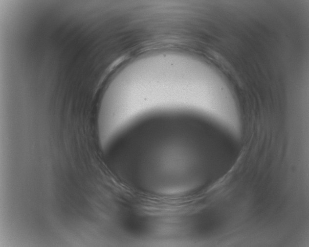 X0000062911210200601131417