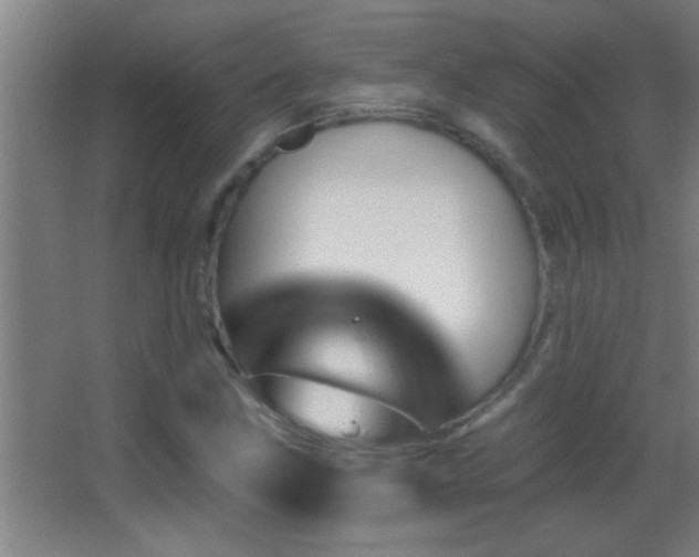 X0000062911211200601131417