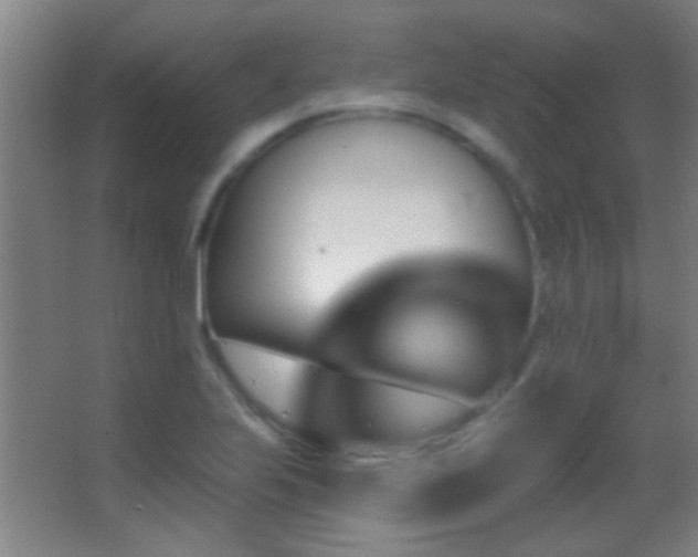 X0000062911223200601131417