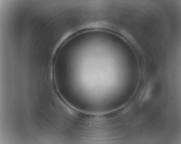 X0000062911224200601131417