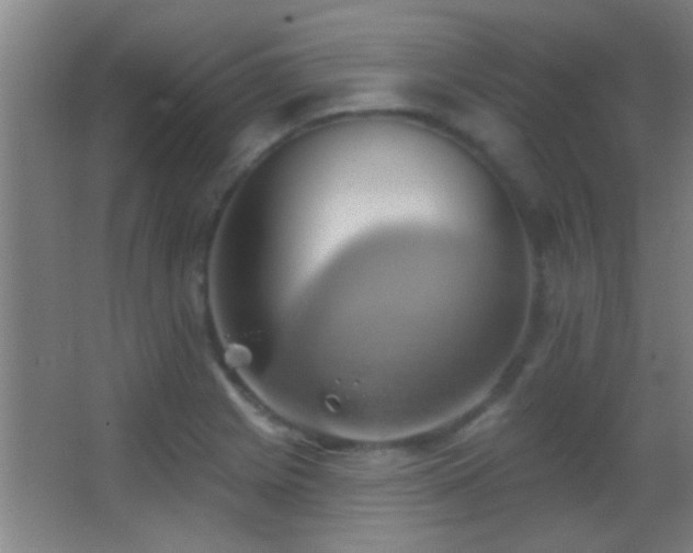 X0000062911225200601131417