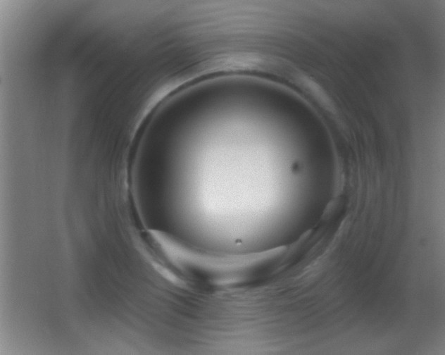 X0000062911226200601131417