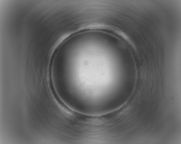 X0000062911229200601131418