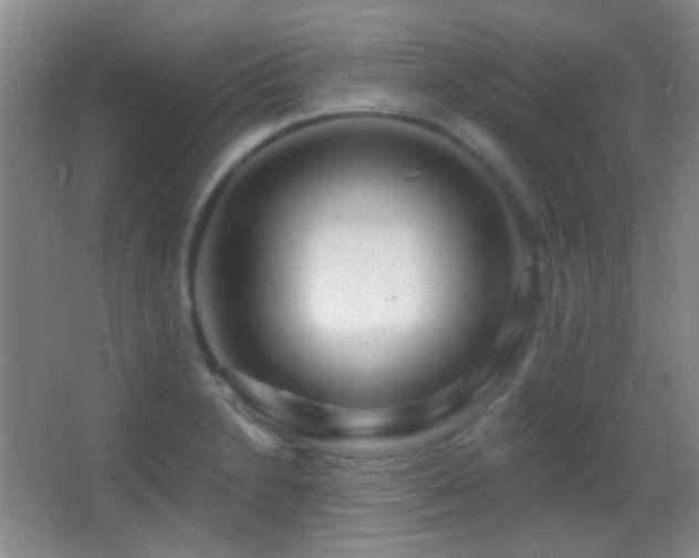 X0000062911230200601131418