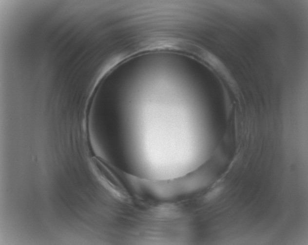 X0000062911234200601131418