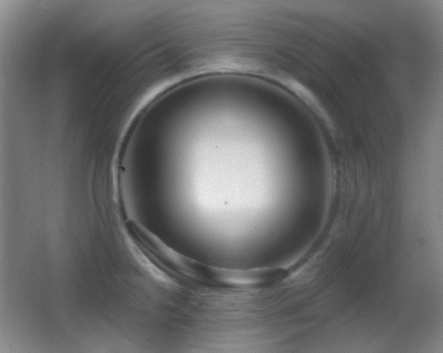 X0000062911238200601131418