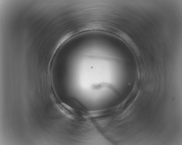 X0000062911242200601131418