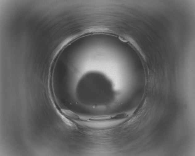 X0000062911245200601131418
