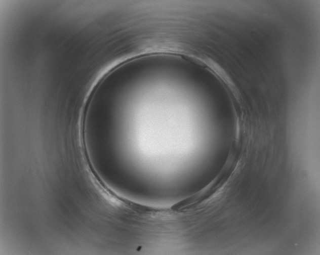 X0000062911246200601131418