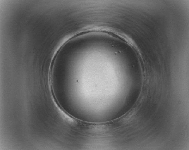 X0000062911247200601131418