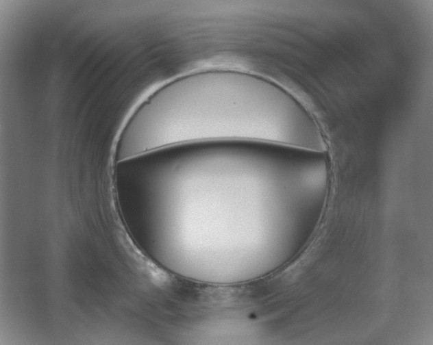 X0000062911248200601131418