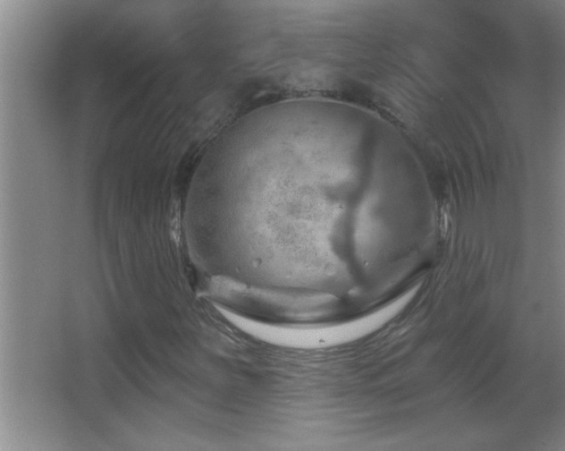 X0000062911251200601131417