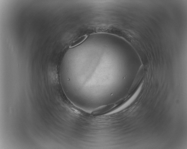 X0000062911252200601131417