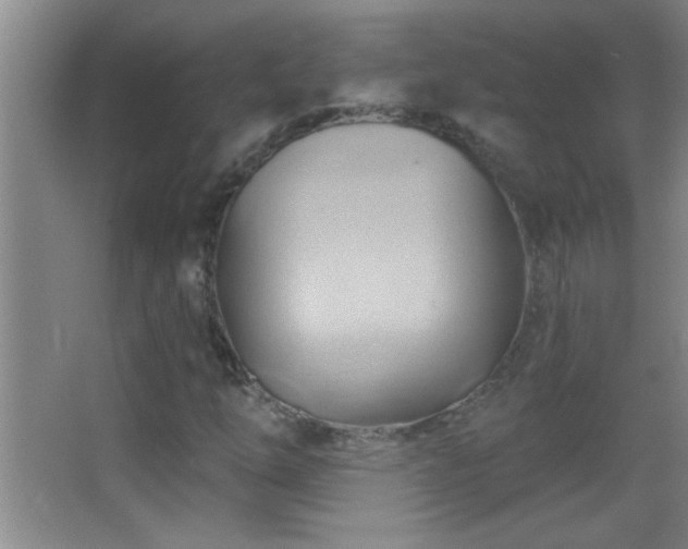 X0000062911254200601131417