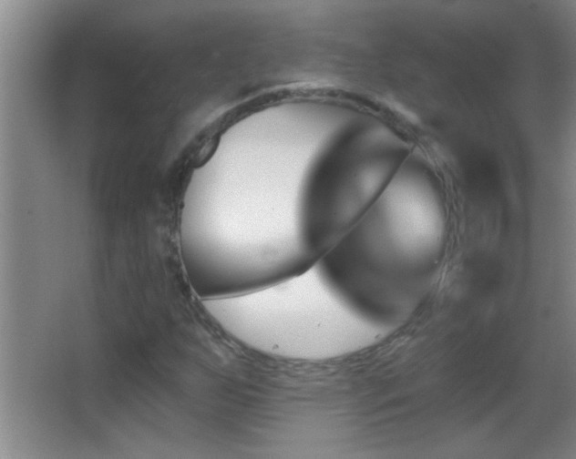 X0000062911255200601131417