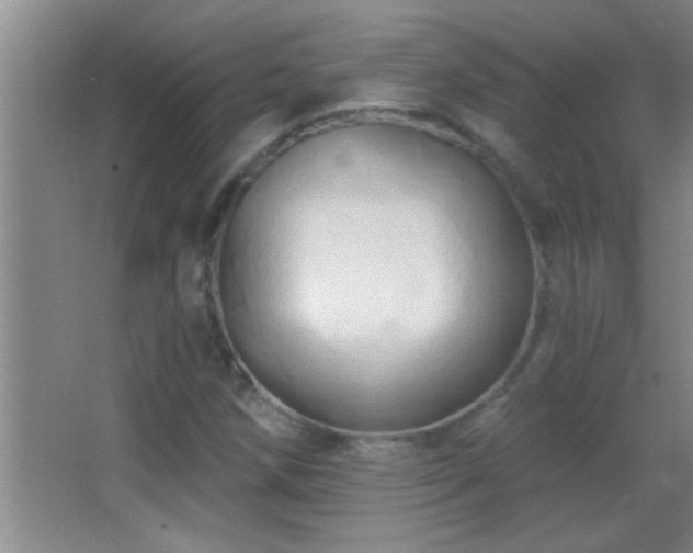 X0000062911258200601131417