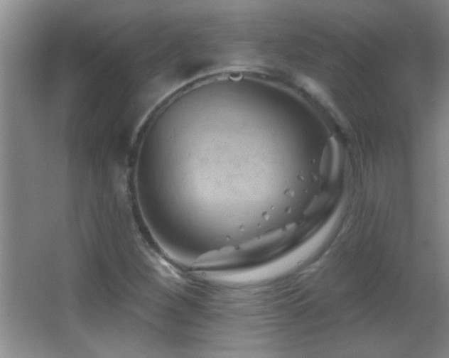 X0000062911260200601131417