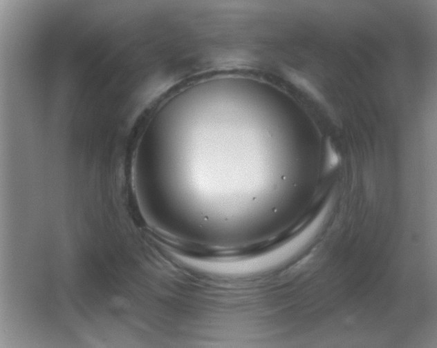 X0000062911261200601131417